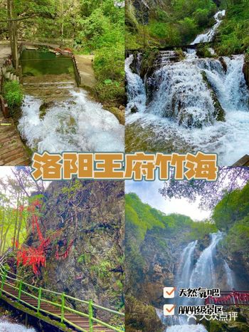 洛阳旅行最大的惊喜—王府竹海️