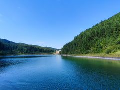 -武陵山森林公园