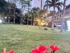 -白天鹅宾馆·月兔吧