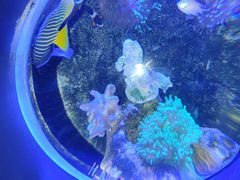 -太平洋海底世界