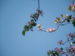 -海珠湖公园