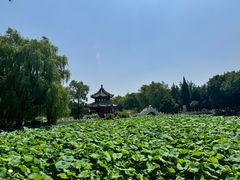 -莲池书院博物馆