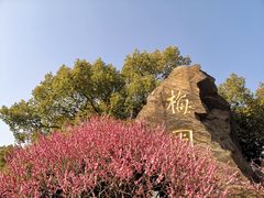 -无锡梅园公园