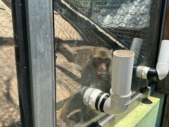 -北京鹿世界主题园