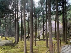 -玉苍山国家森林公园