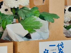 -轩客会(熊猫书店)
