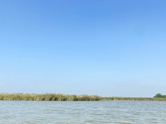 -盐城丹顶鹤湿地生态旅游区