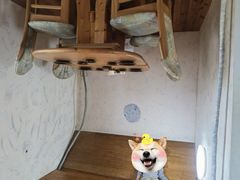 -金山农民画村-枫泾波兰倒置屋