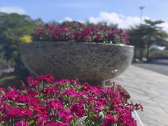 -深圳国际园林花卉博览园