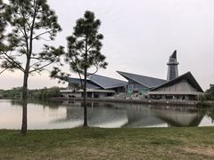 -盐城丹顶鹤湿地生态旅游区