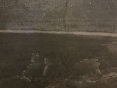 -老蒲鲜·地标·非遗美食(涵江店)