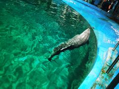 -苏州海洋馆