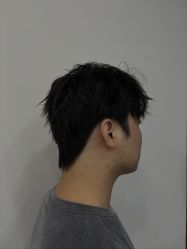 -蚂蚁造型沙龙