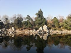 -全聚德烤鸭店(和平路店)