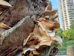 -苏州河梦清园环保主题公园