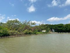 -大湾区中央湿地公园