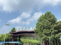 -黄海国家森林公园