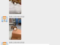 -立德动物医院·24小时中心(番禺区院区)