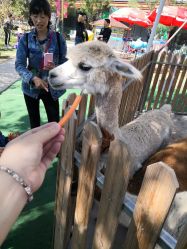 -萌宠亲子动物乐园(槐房万达店)