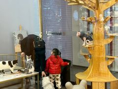 -BABIT巴比特宠物(MOMOPARK店)