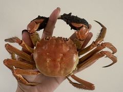 -起源小厨(应天门店)