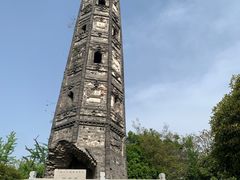 -上海佘山国家森林公园天马山园