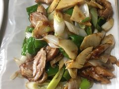 -丁老爷子苏香圆
