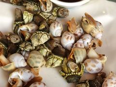 -舌尖上·霞浦滩涂海鲜·新闽菜(总店)