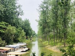 -合肥滨湖国家森林公园