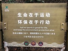 -东湖落雁景区