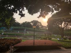 -天河儿童公园