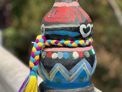 -西双版纳原始森林公园