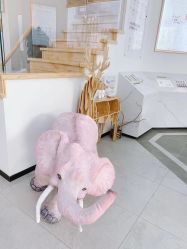 -采之汲·云南白药集团