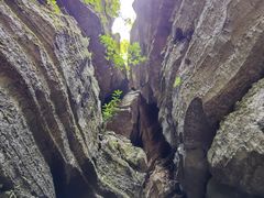 -梭布垭石林景区