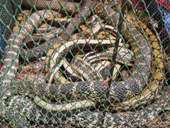 -青石桥市场北1-27号