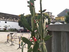 -广州市紫泥堂文化创意园景区
