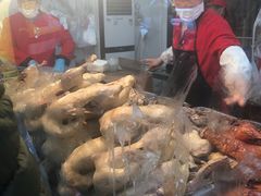 -杨震卤菜旗舰店