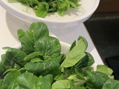 -烹然四季椰子鸡火锅(姚家园万象汇店)