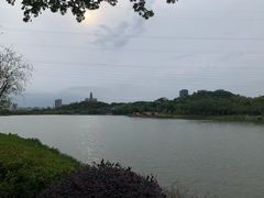 -顺峰山公园