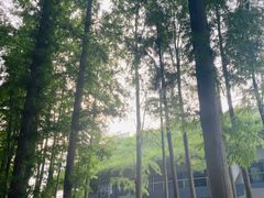 -上海月湖雕塑公园