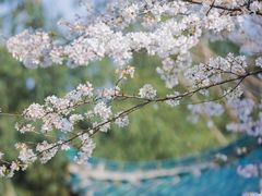 -月湖风景区