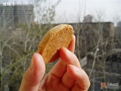 取一片-榖屋house of flour(张江首店)