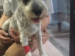 -爱侣宠医·鹦鹉专科·小型哺乳类·异宠专科(灵石路店)