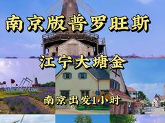 -大塘金香草谷