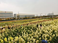 -三圣花乡旅游区