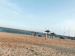 -碧海金沙