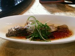 android_upload_pic-十八棵（老龙井）御茶园(老龙井店)