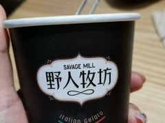 -野人先生现做冰淇淋(北京顺义祥云小镇店)