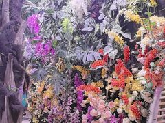 -正佳雨林生态植物园