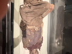 -巴音郭楞蒙古自治州博物馆